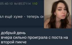 2048x1305
