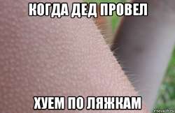 600x391