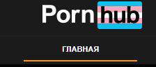 224x97