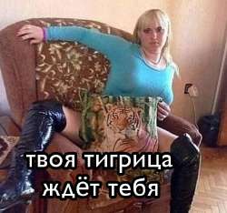 768x720
