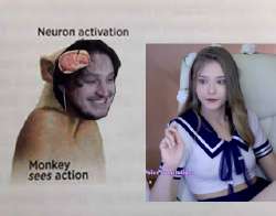 430x338
