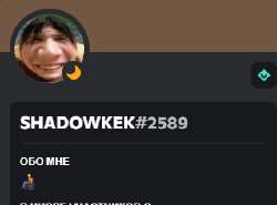 319x237