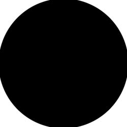 384x384