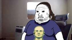 500x277