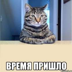 460x463