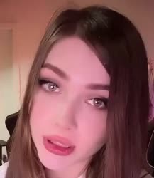 482x554