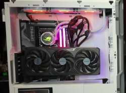 592x439