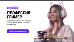 1342x778