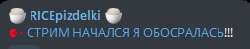 262x52