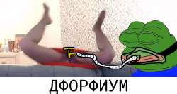 683x368