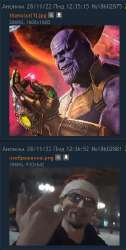286x564