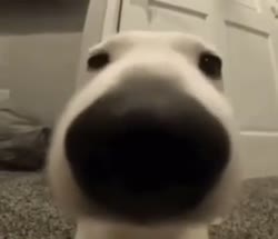 418x360