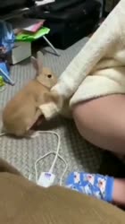 360x640