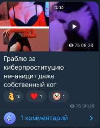 511x651