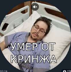 544x550