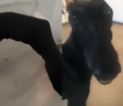 420x360