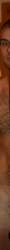 157x3875