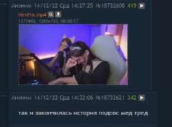 393x291