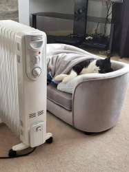 960x1280