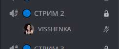 244x102