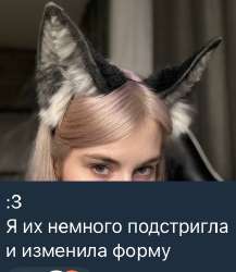 428x491
