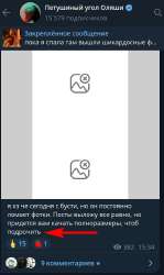 495x830