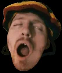 390x459
