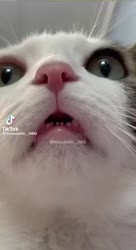 464x848