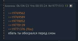 732x390