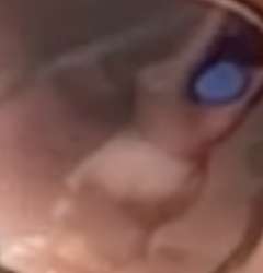 347x361