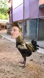 368x640