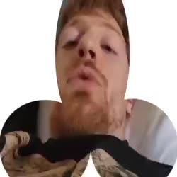 384x384