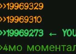 284x200