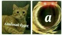 697x392