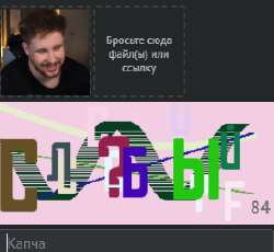 294x271