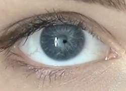 373x273