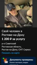 720x1263