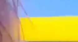 270x147