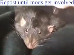 480x360