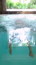 360x640