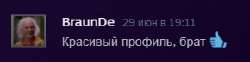 290x73