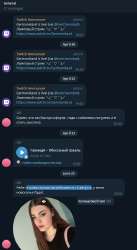 527x961