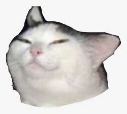 820x736
