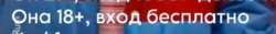 676x86