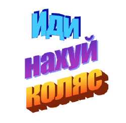 300x295
