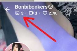 346x231