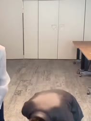 720x948