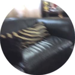 384x384
