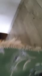 356x632