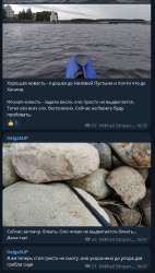 449x786